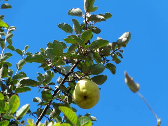DSC00693_original